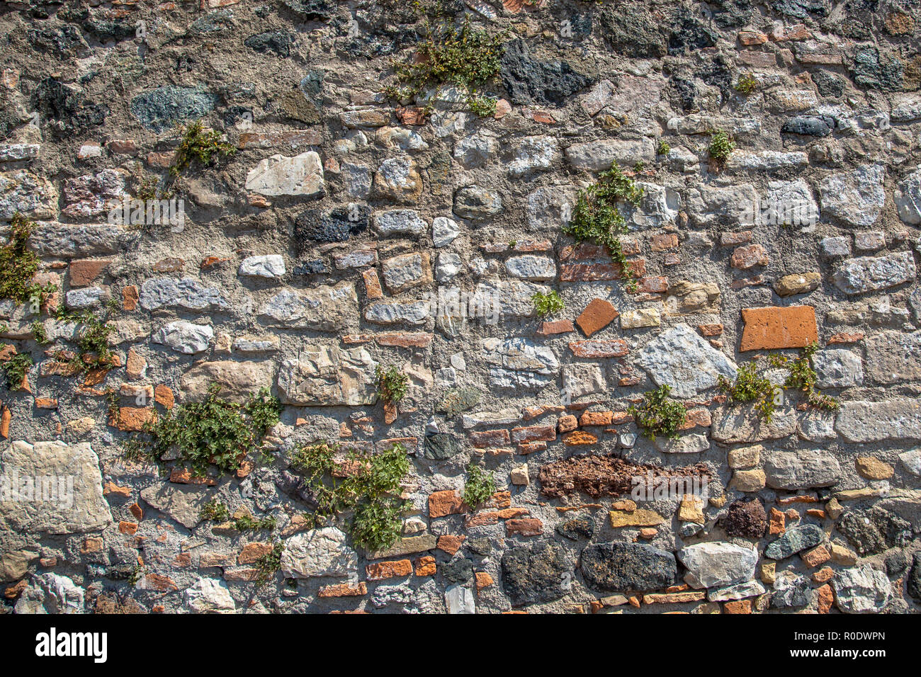 Old Stone Wall Background with Plants and Flowers Stock Photo - Alamy