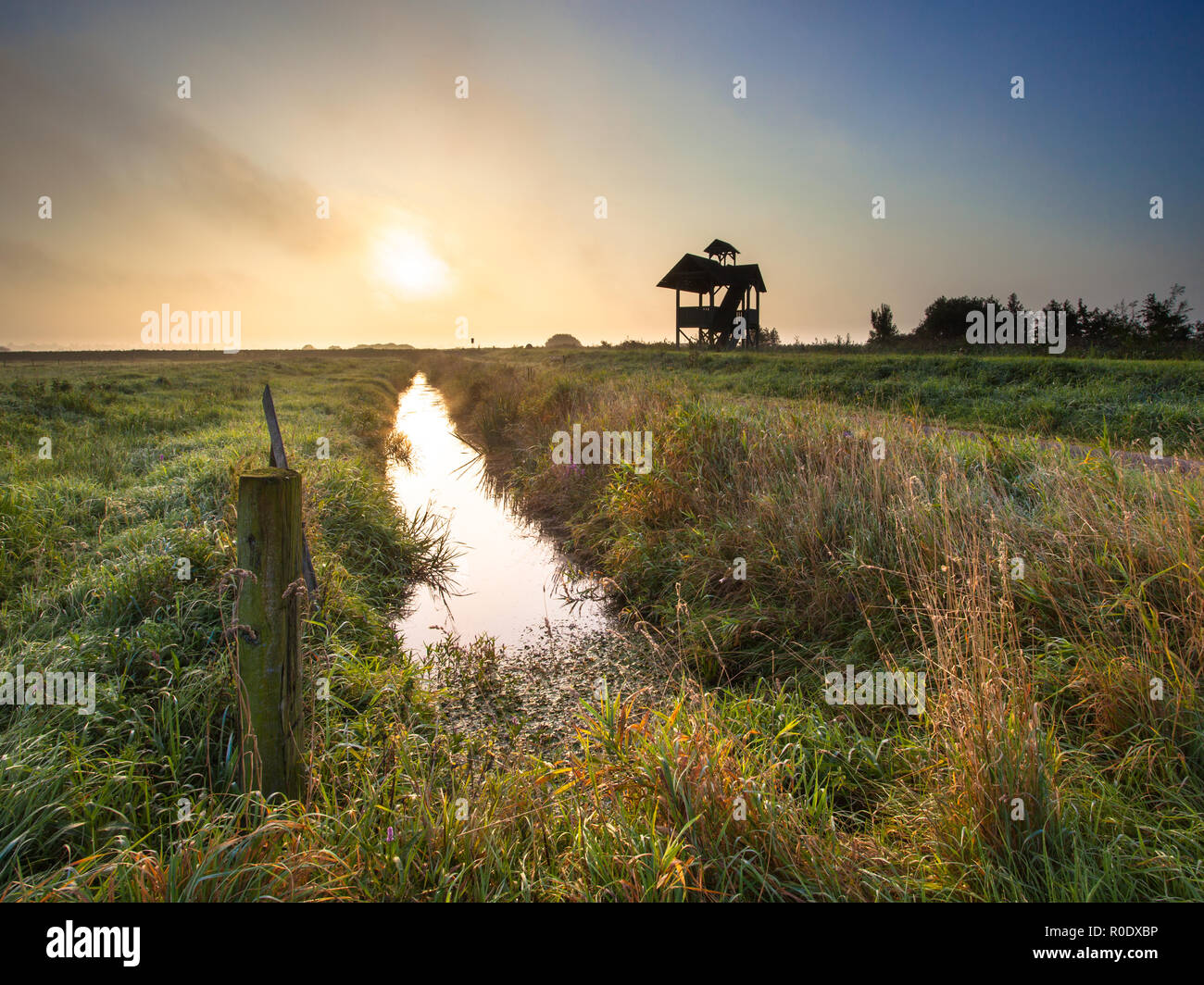 Dutch Polder Landscape on Foggy Morning with Wildlife Observation Tower in the Background Stock Photo