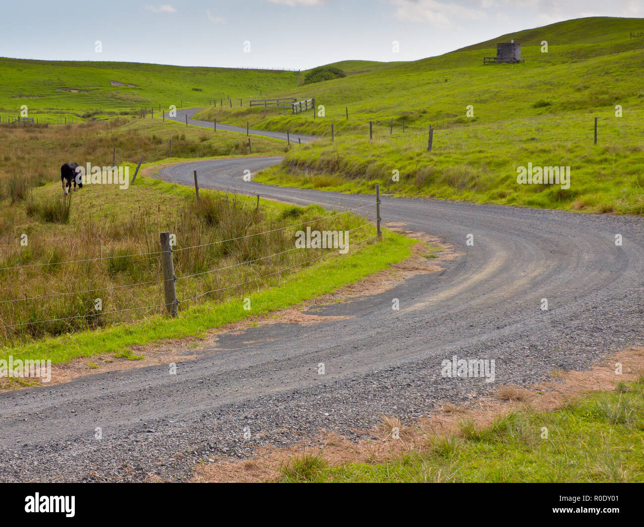 Winding road through New Zealand Countryside Stock Photo - Alamy