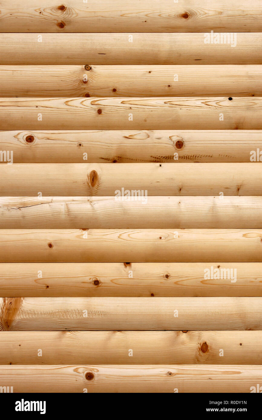 Wood Rounded Structures Rounded structure of a tree hi-res stock photography and images - Alamy