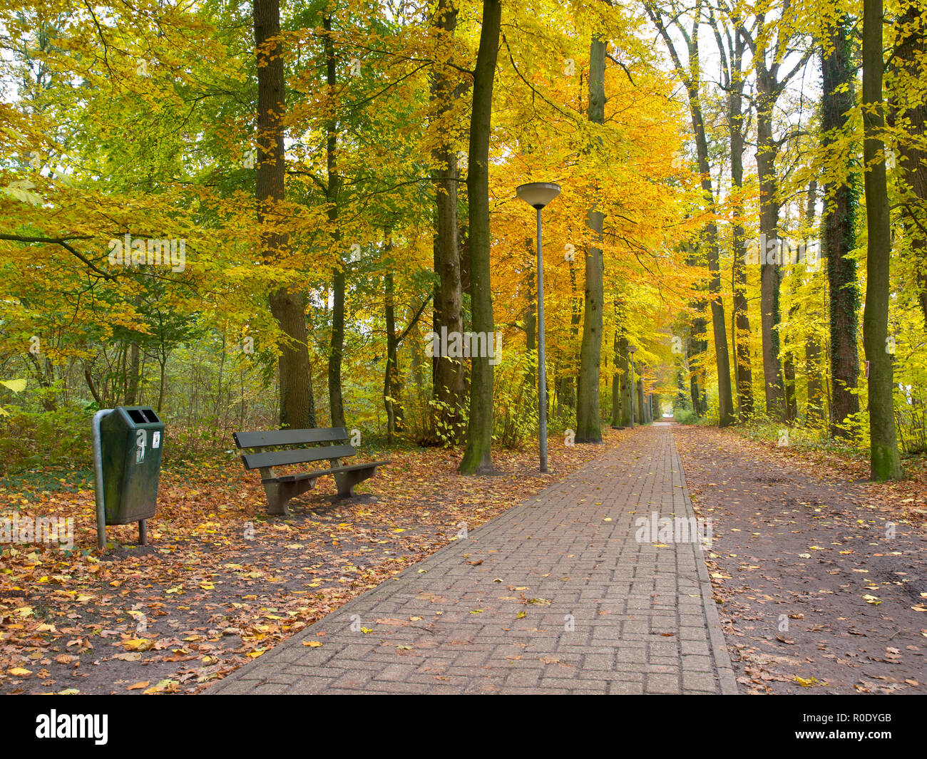 Walking to bench hi-res stock photography and images - Alamy