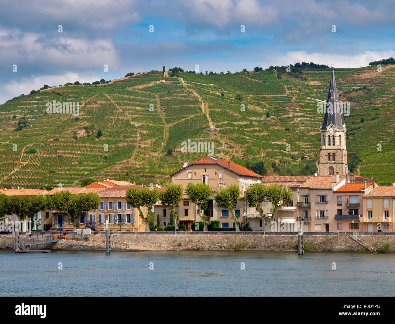 A riverside Village and Vineyards on the Hills of the Cote du Rhone