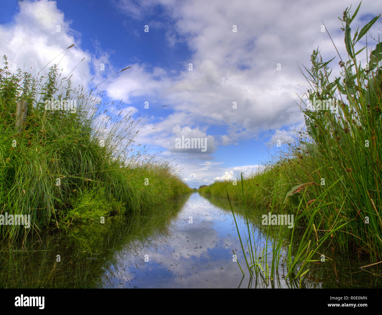 Freshwater ditch in dutch polder landscape Stock Photo