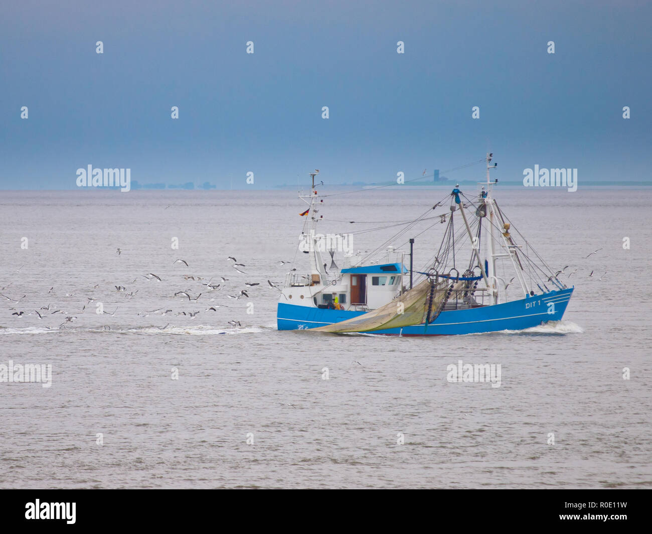 Fishing vessel on the waddensea surrounded by gulls Stock Photo