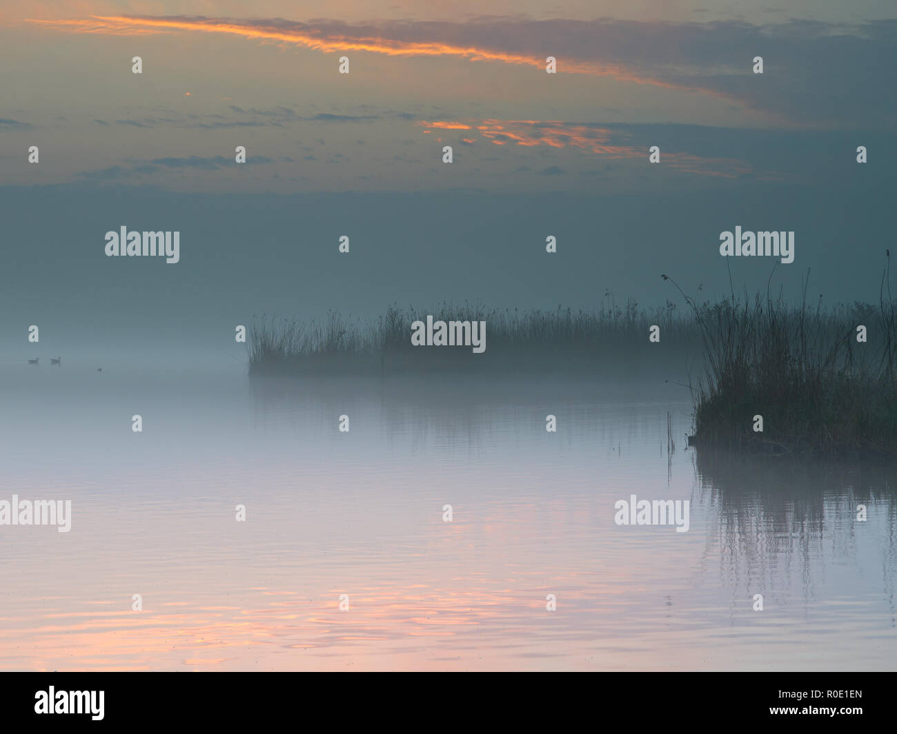 Oevers  van een meer in de nevel op een lente ochtend Stock Photo