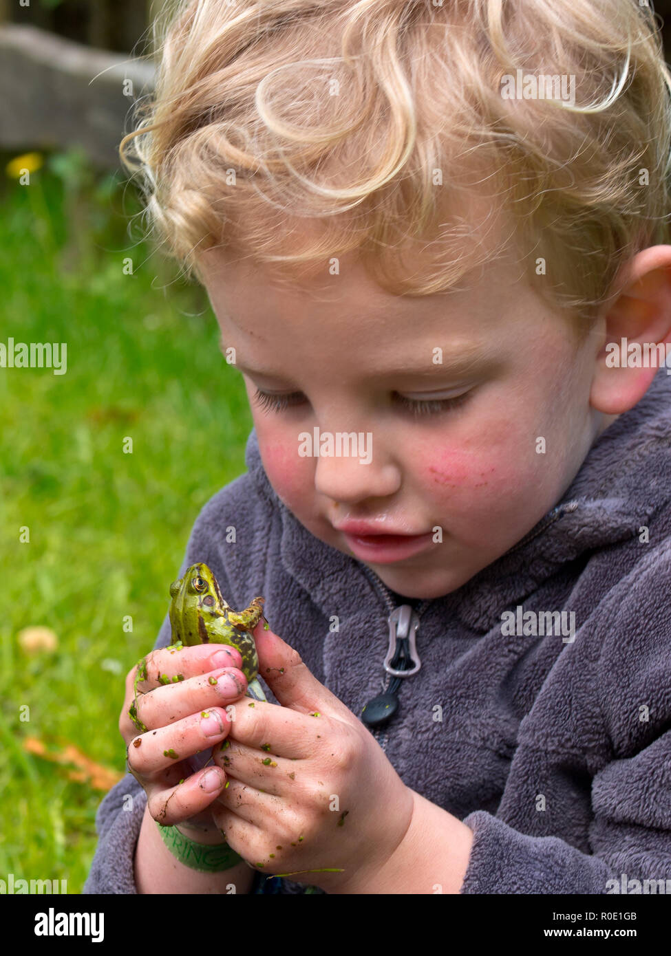 Een jongetje houdt een groene kikker in zijn hand Stock Photo