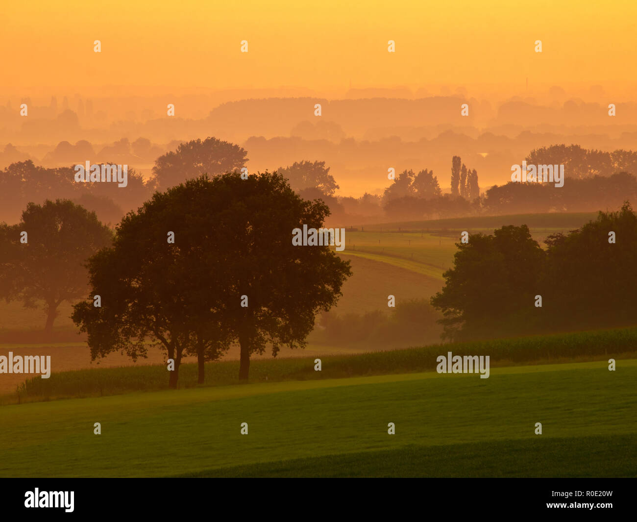 Orange sunrise over a misty agricultural landscape Stock Photo
