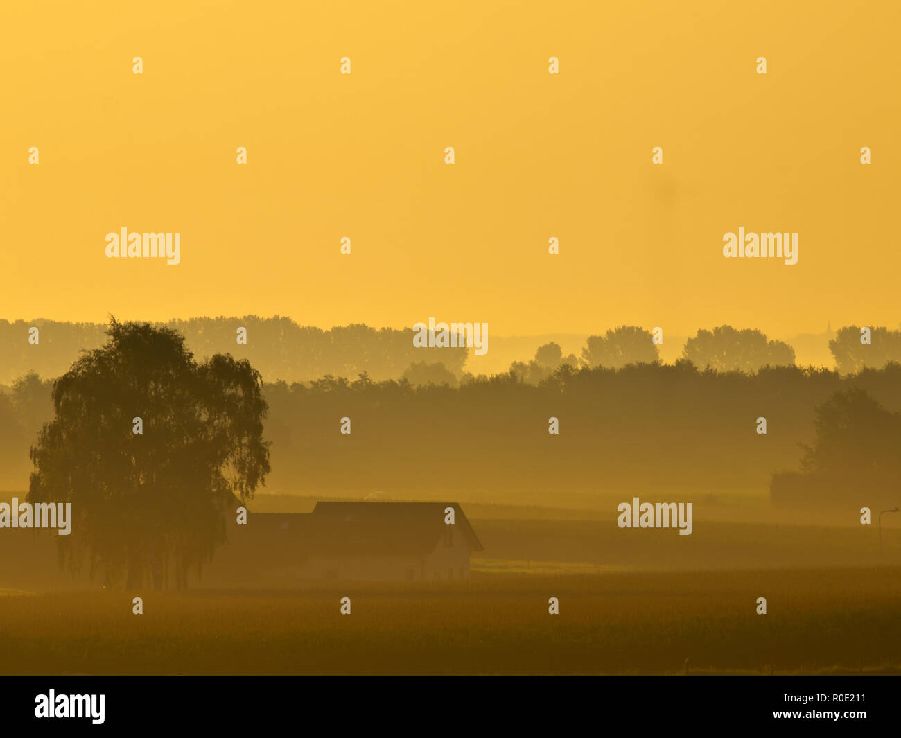 lonely house during misty sunrise in agricultural landscape Stock Photo