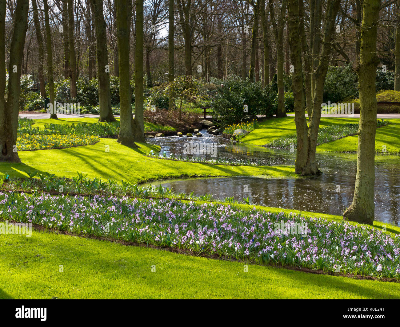 Tulip flower beds spring hi-res stock photography and images - Alamy
