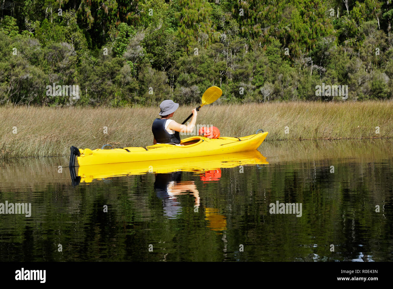 Peaceful kayak adventure on New Zealand's west coast Stock Photo Alamy