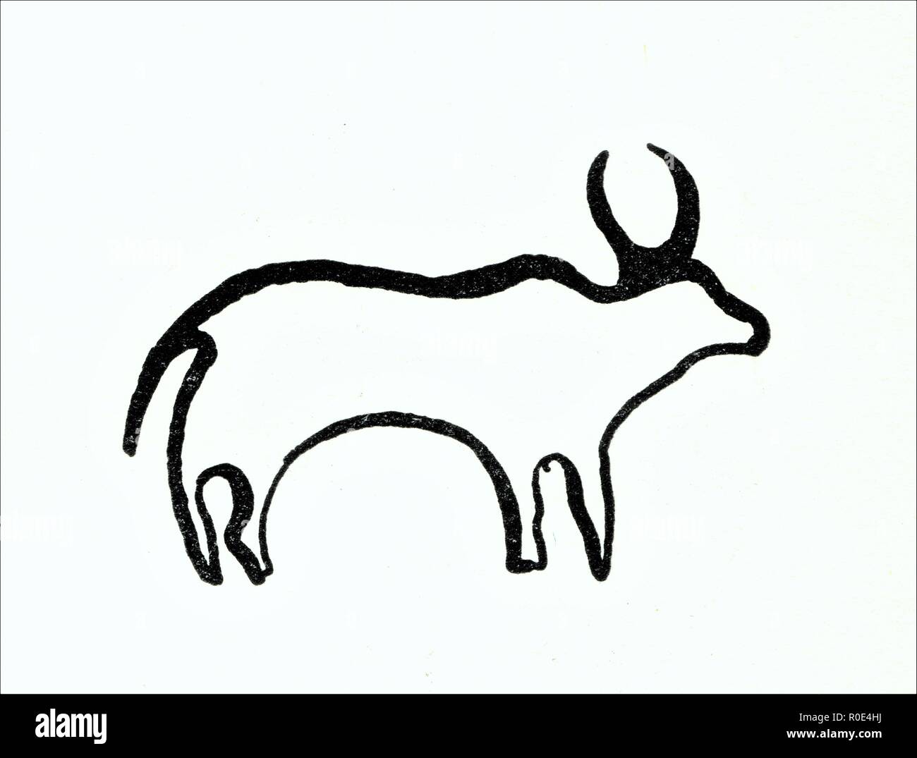 Comment Dessiner Des Animaux Préhistoriques Comment Dessiner Des Animaux Préhistoriques