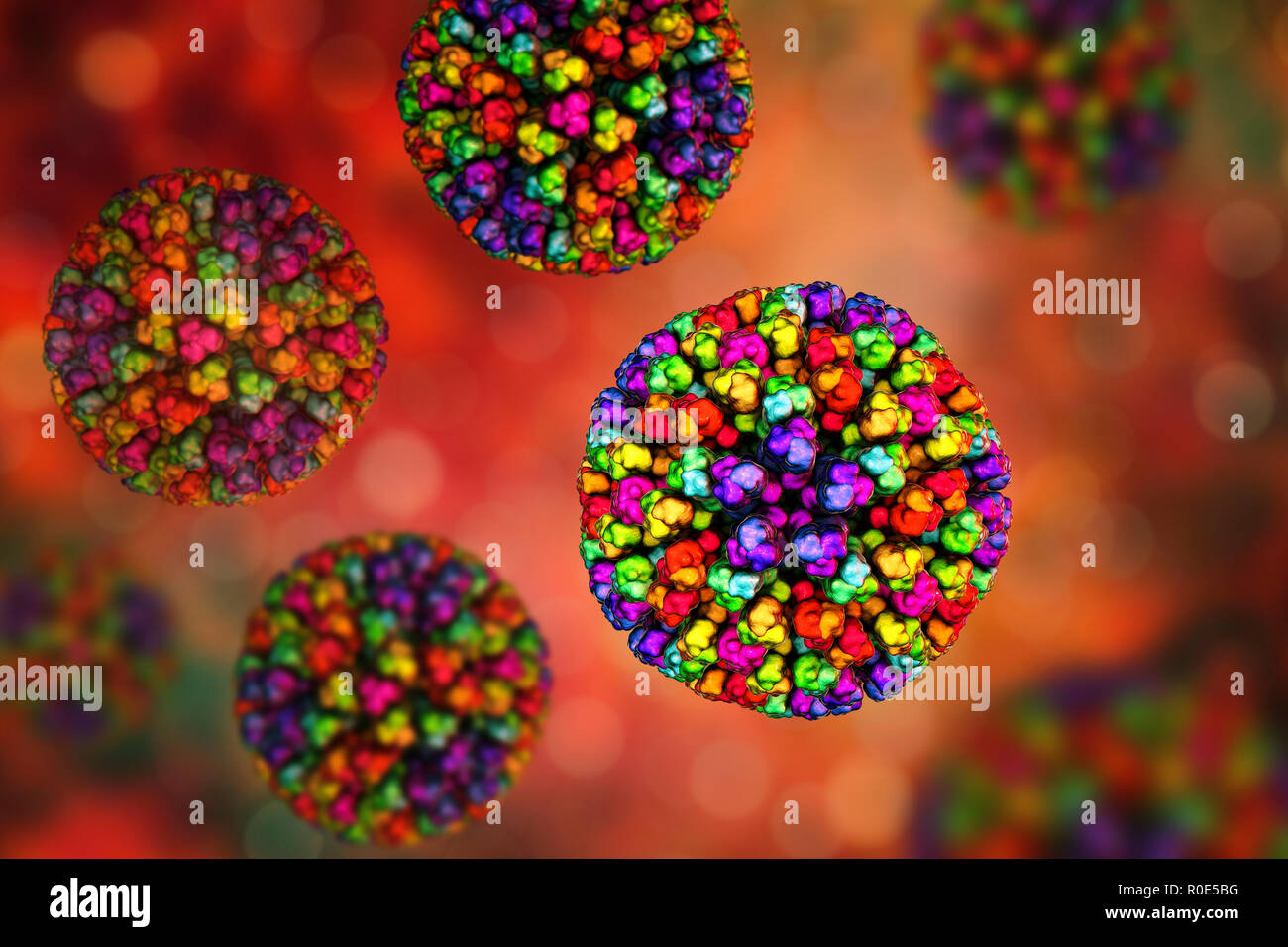 Bluetongue virus hi-res stock photography and images - Alamy