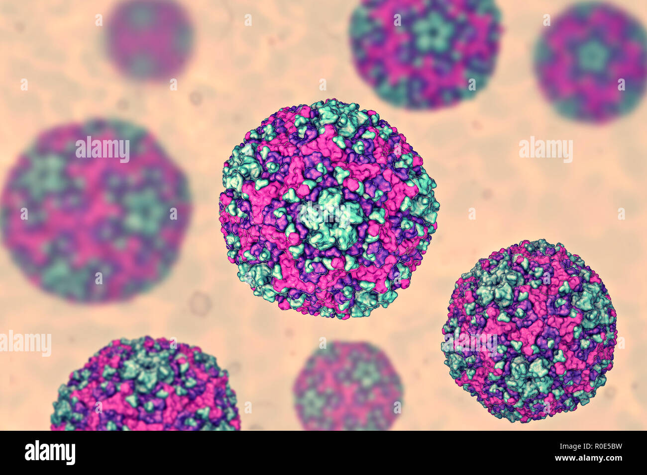 Group B Coxsackievirus, computer illustration. These viruses cause