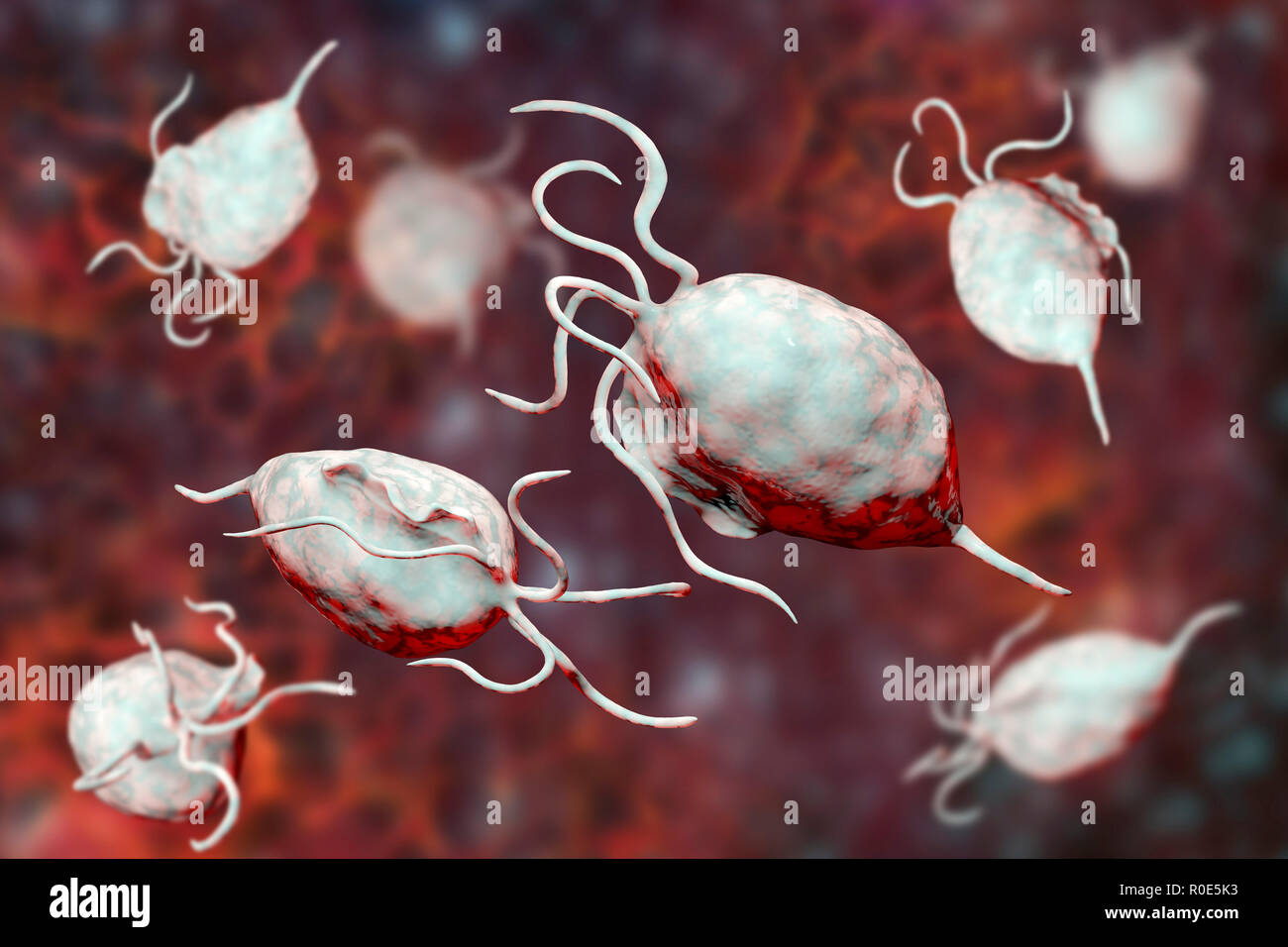 std trichomoniasis