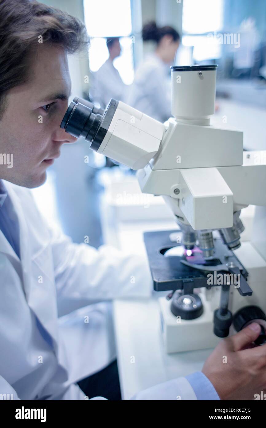 Male laboratory assistant using microscope. Stock Photo