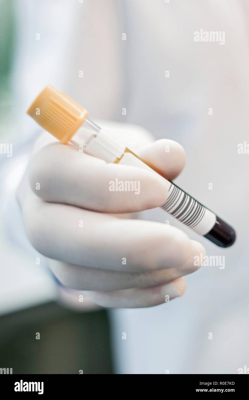 Laboratory assistant holding test tube, close up. Stock Photo