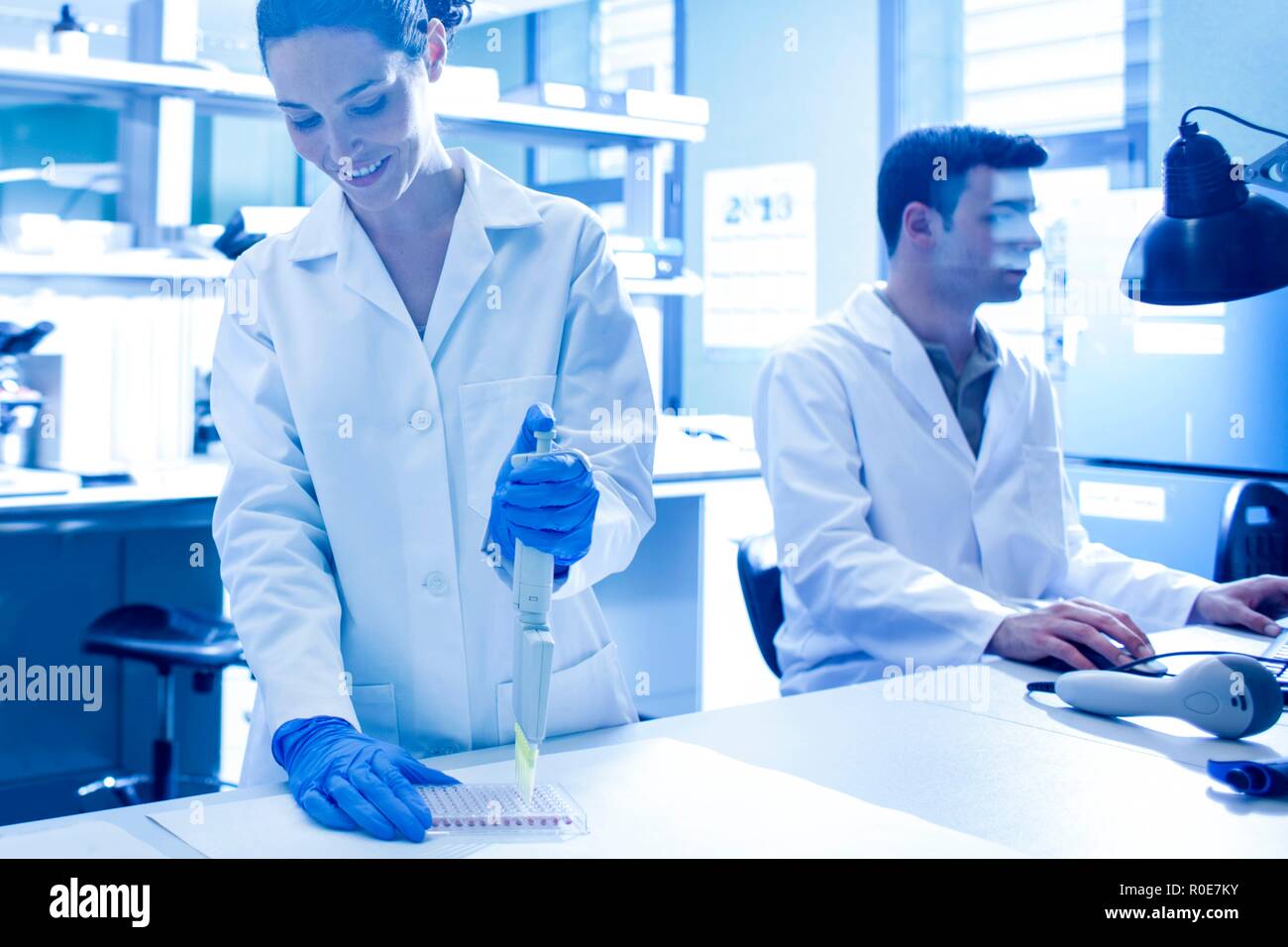 Scientist using pipette in the laboratory. Stock Photo