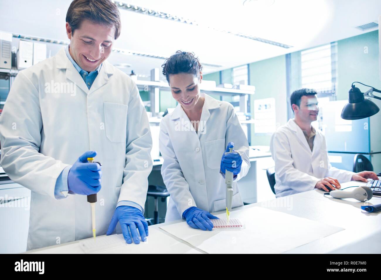 Scientists using pipettes in the laboratory. Stock Photo