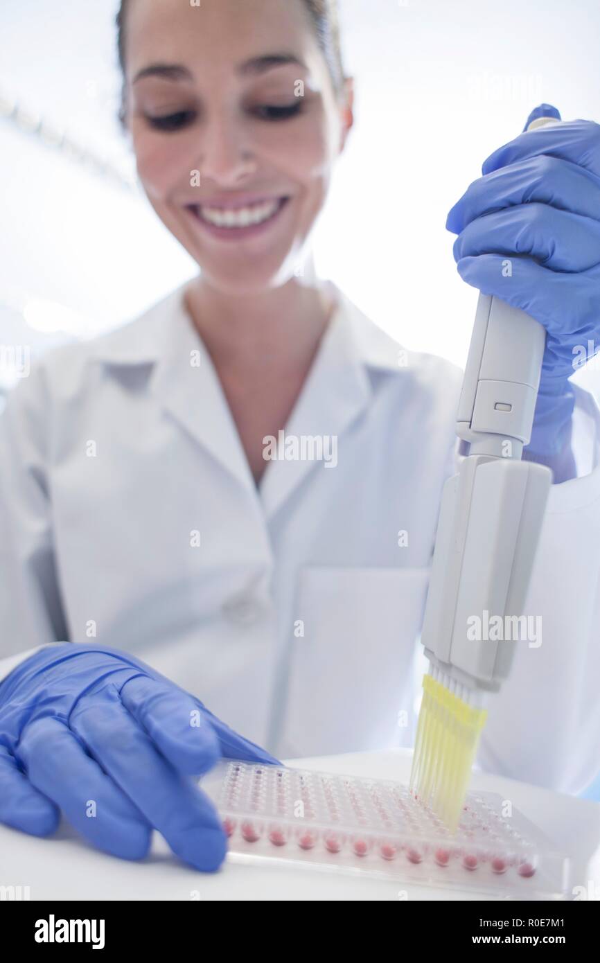 Female laboratory assistant using multi pipette. Stock Photo