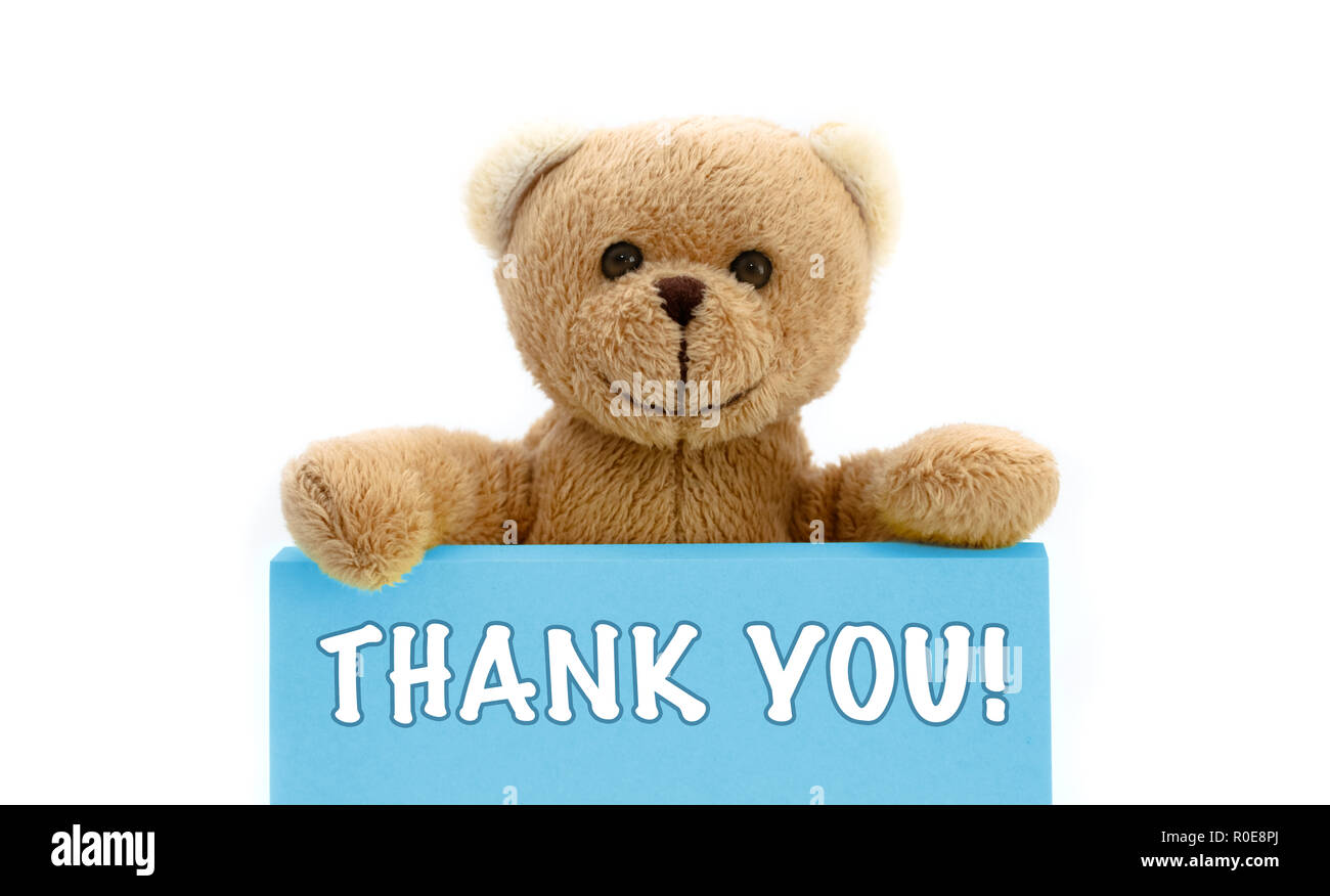 thank you teddy