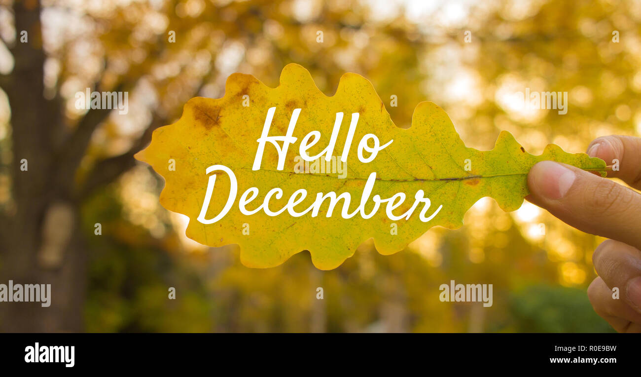 Goodbye November, Hello December