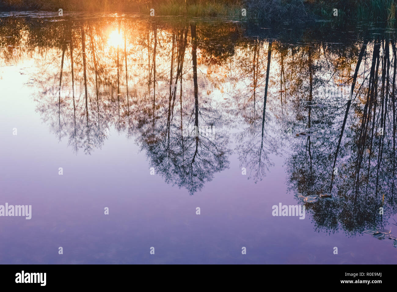 Sunlight reflected on river hi-res stock photography and images - Alamy