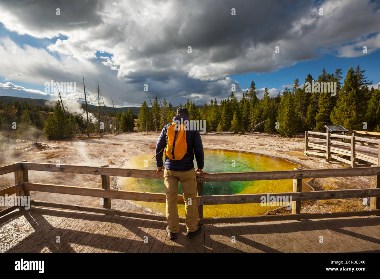 Colorful Morning Glory Pool famous hot spring in the Yellowstone National Park, Wyoming, USA