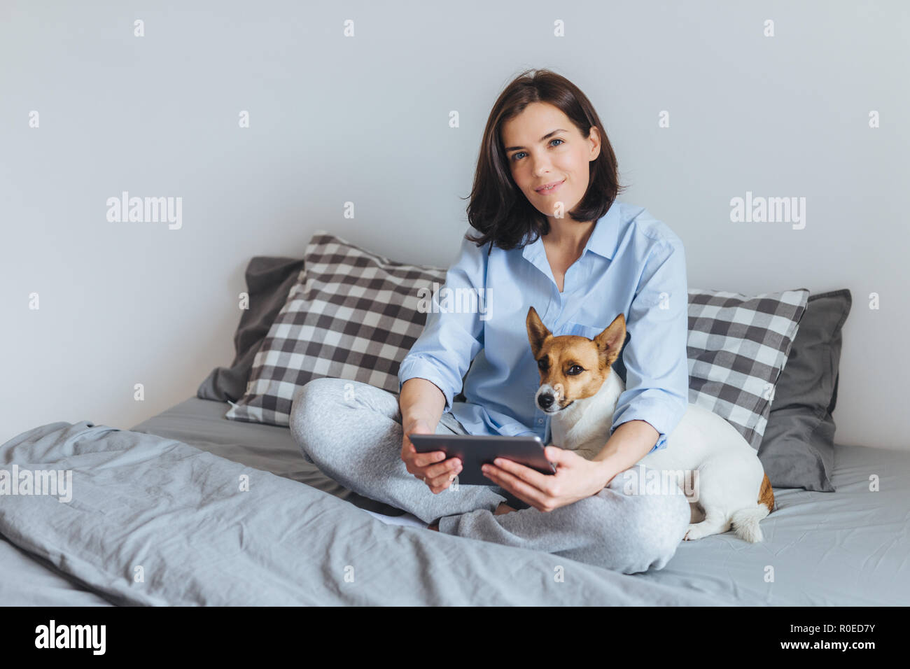 Jack best sale russell pyjamas