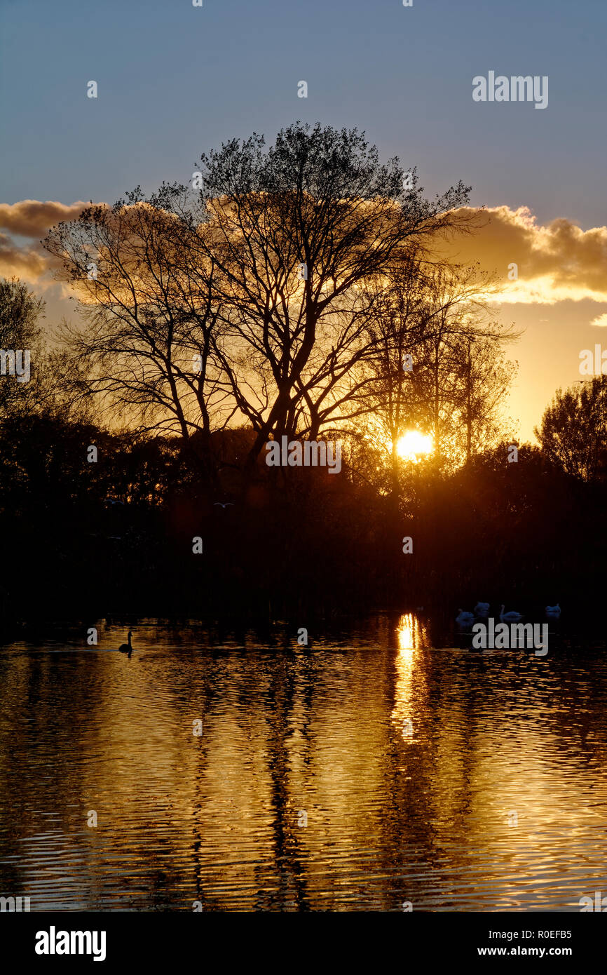 Autumn Sunset on Nailsea Lake, North Somerset Stock Photo Alamy