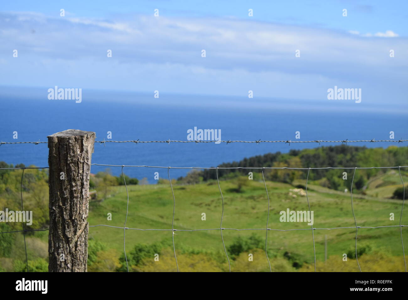 A green land, the blue ocean and then, the horizon. Stock Photo