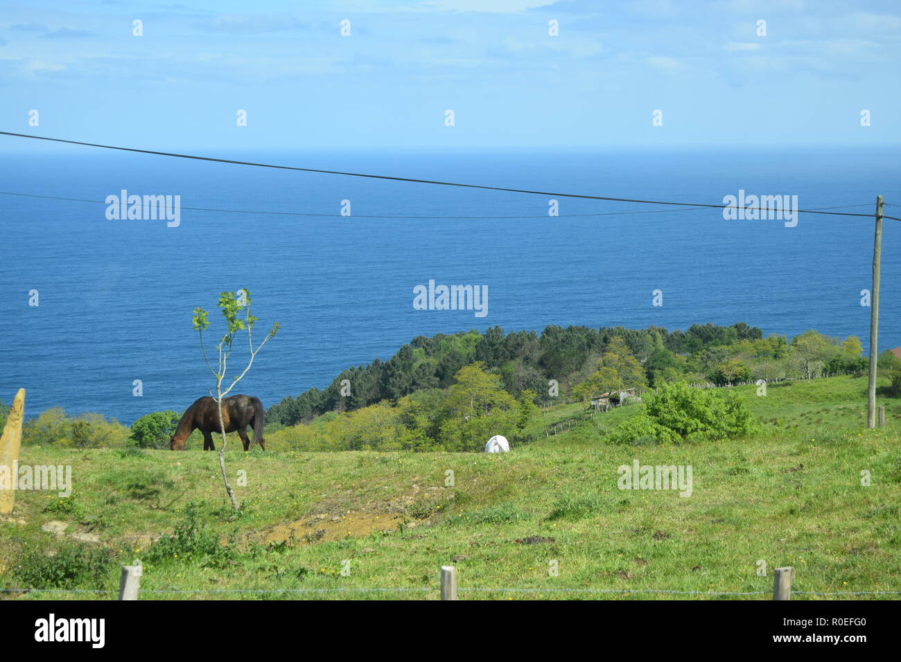 Horse eating grass on the middle of a green land in San Sebastian Stock Photo