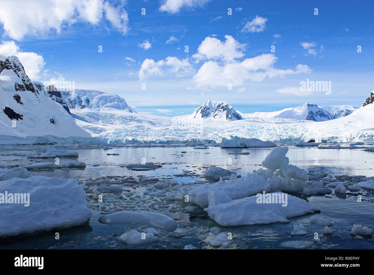Glistening frozen waters and icebergs on a sunny Summer day in Paradise Bay, Antarctic Peninsula Stock Photo