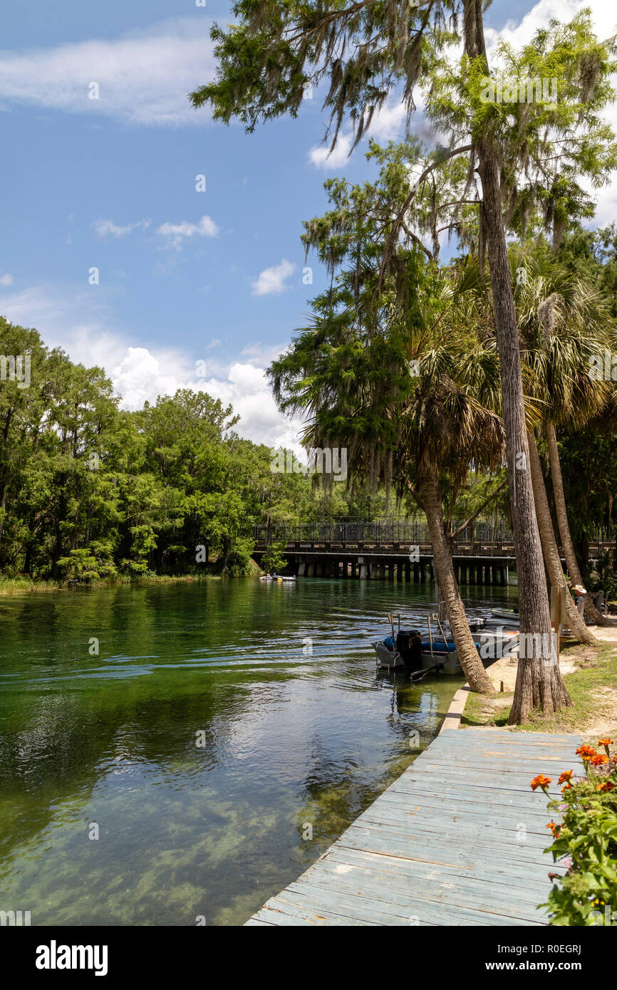 Withlacoochee river florida hires stock photography and images Alamy