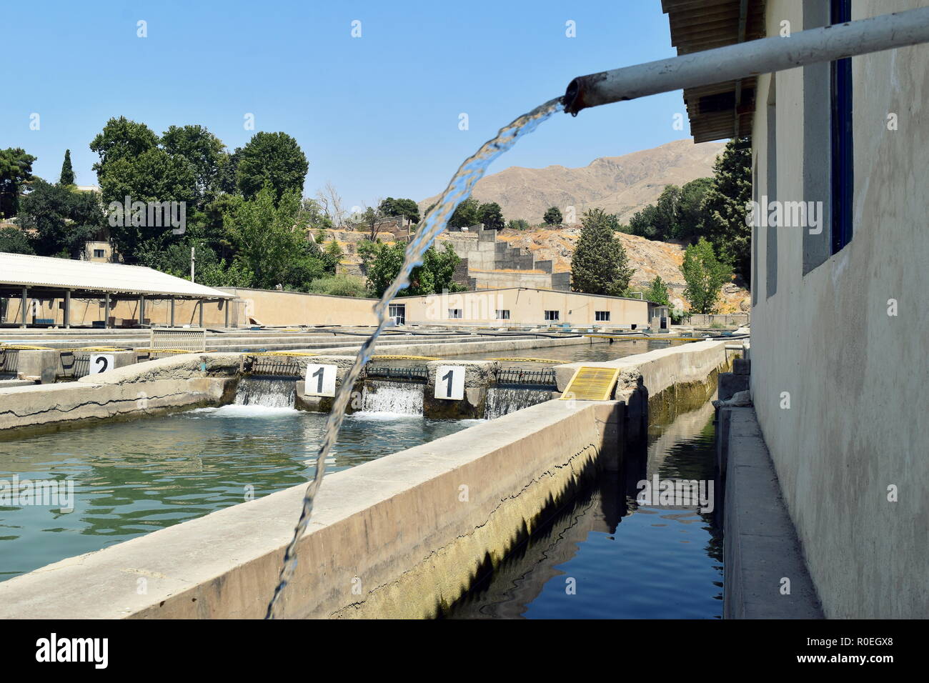 Aquaculture water pools of fish farming fishery in Karaj near Tehran, Iran, breeding and selling red spot trout, rainbow trout and Caspian salmon Stock Photo