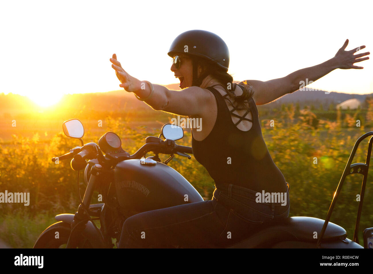 A woman riding her Harley Davidson into the sunset and feeling happy to feel the freedom of a road trip. Stock Photo
