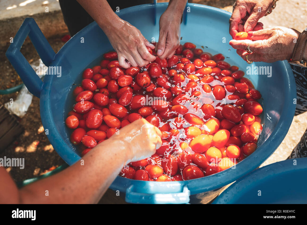 The traditional preparation of the tomato sauce in the south of italy, Puglia Stock Photo