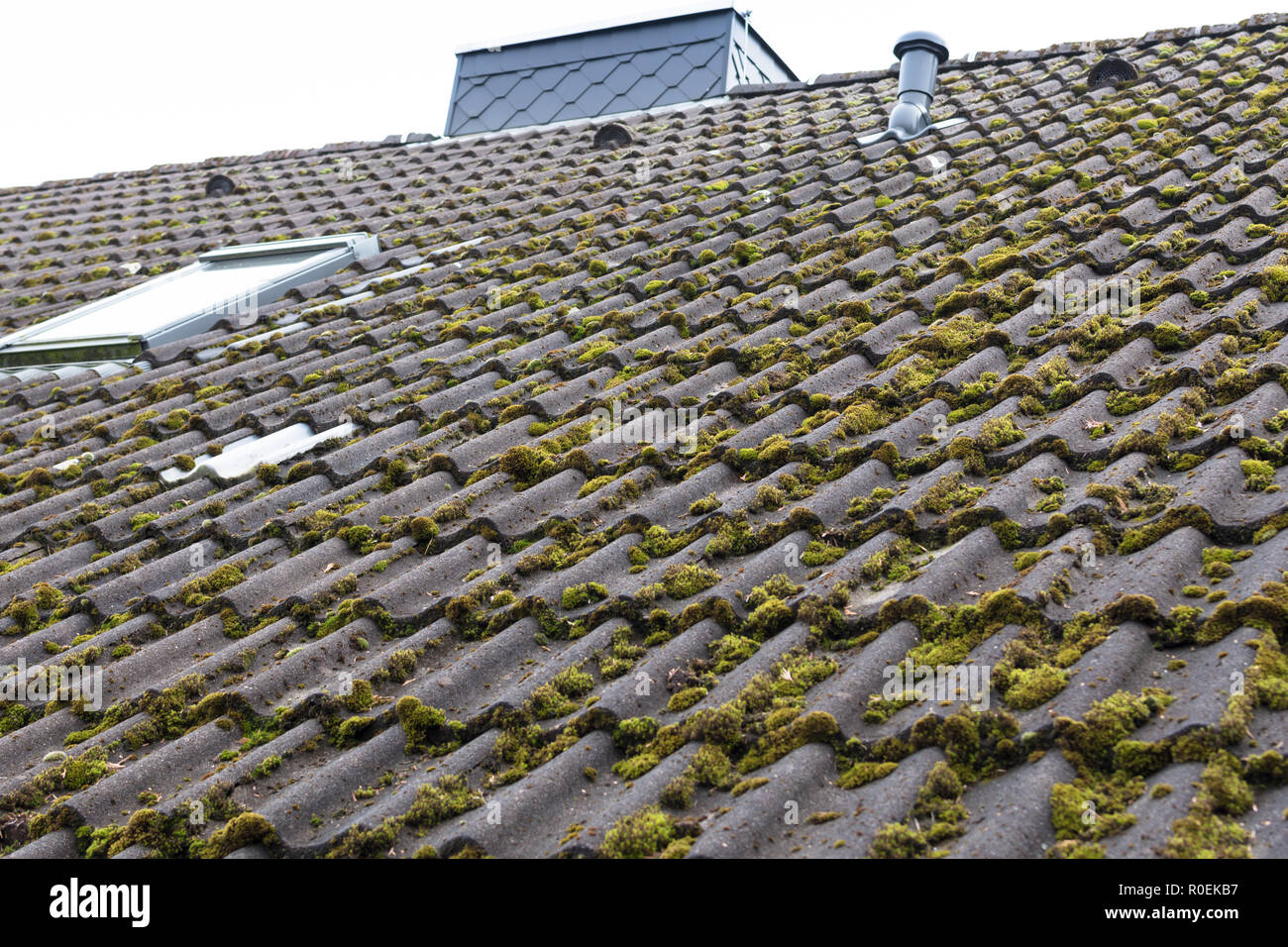 Roof tiles covered by moss Stock Photo