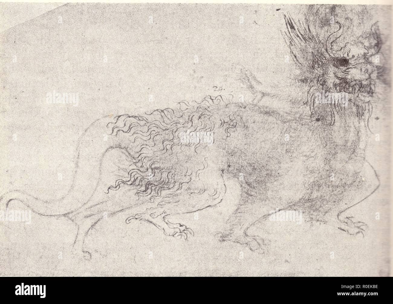 Leonardo da vinci drawing hires stock photography and images Alamy