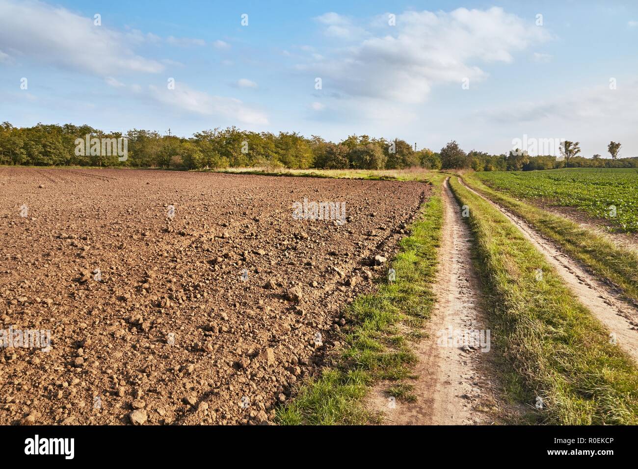 Agircutural field in late sunlight Stock Photo - Alamy