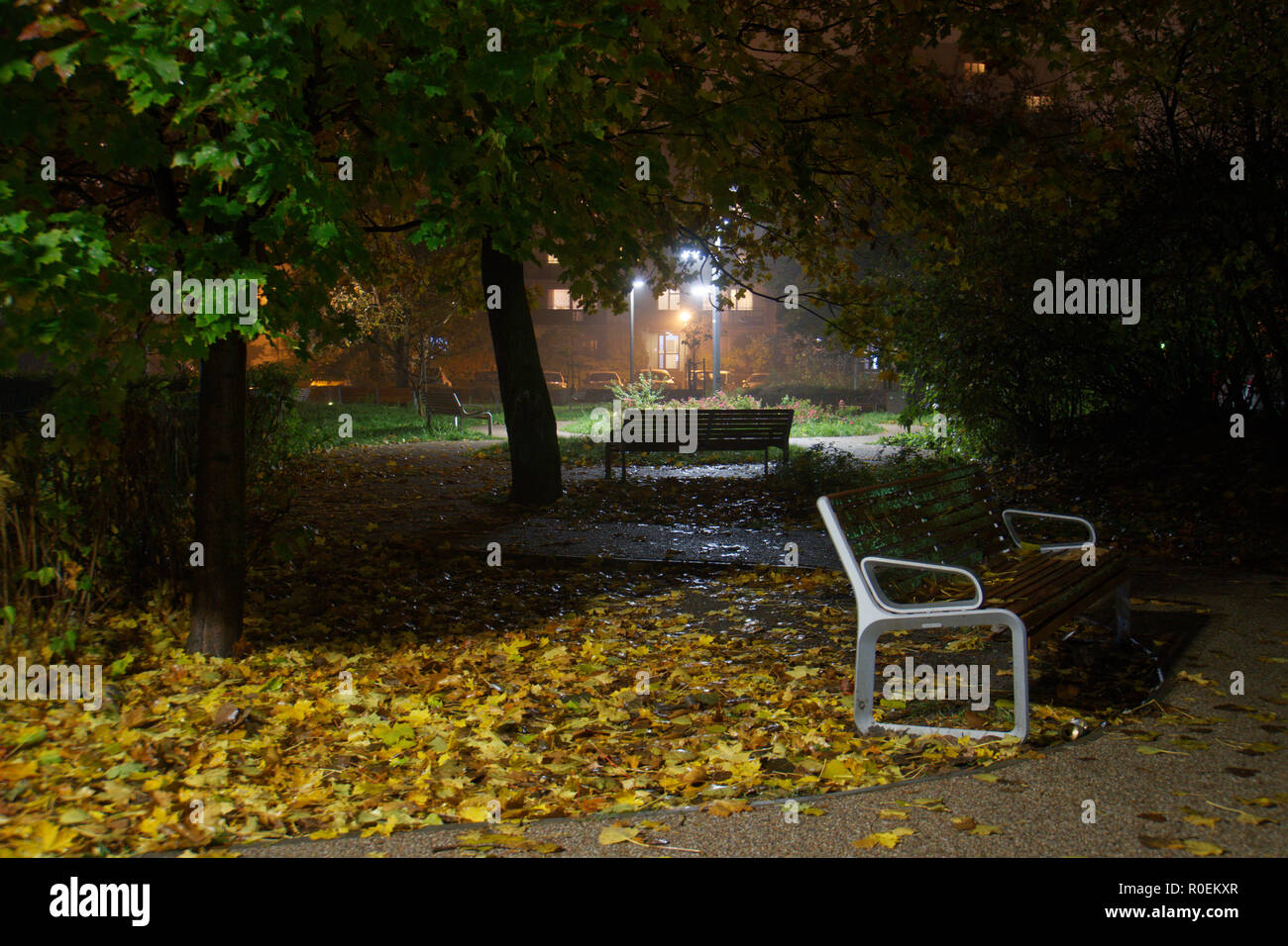 Rain in the park Stock Photo