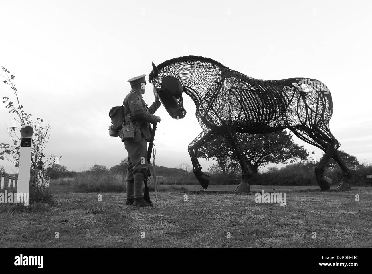 The War Horse & Re enactor at Mill Pond Meadow in Featherstone, West Yorkshire Stock Photo