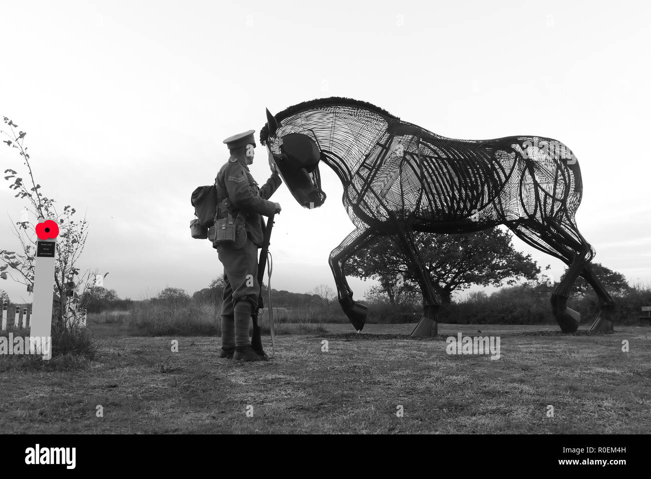 War horse featherstone hires stock photography and images Alamy