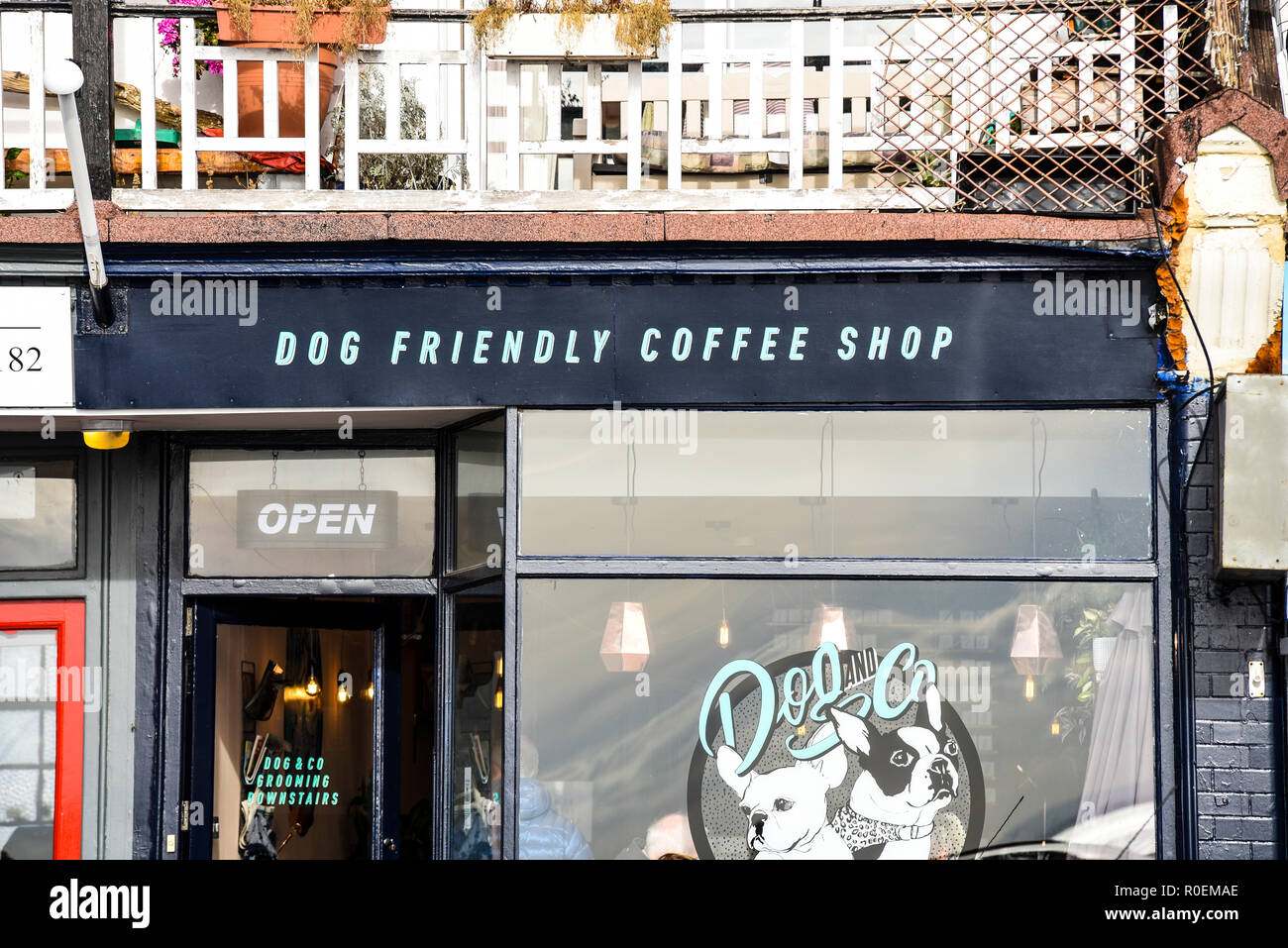 Dog Friendly Coffee Shop, Dog and Co, Eastern Esplanade, Southend on Sea, Essex, UK. Pets. Shop, store front. Stock Photo