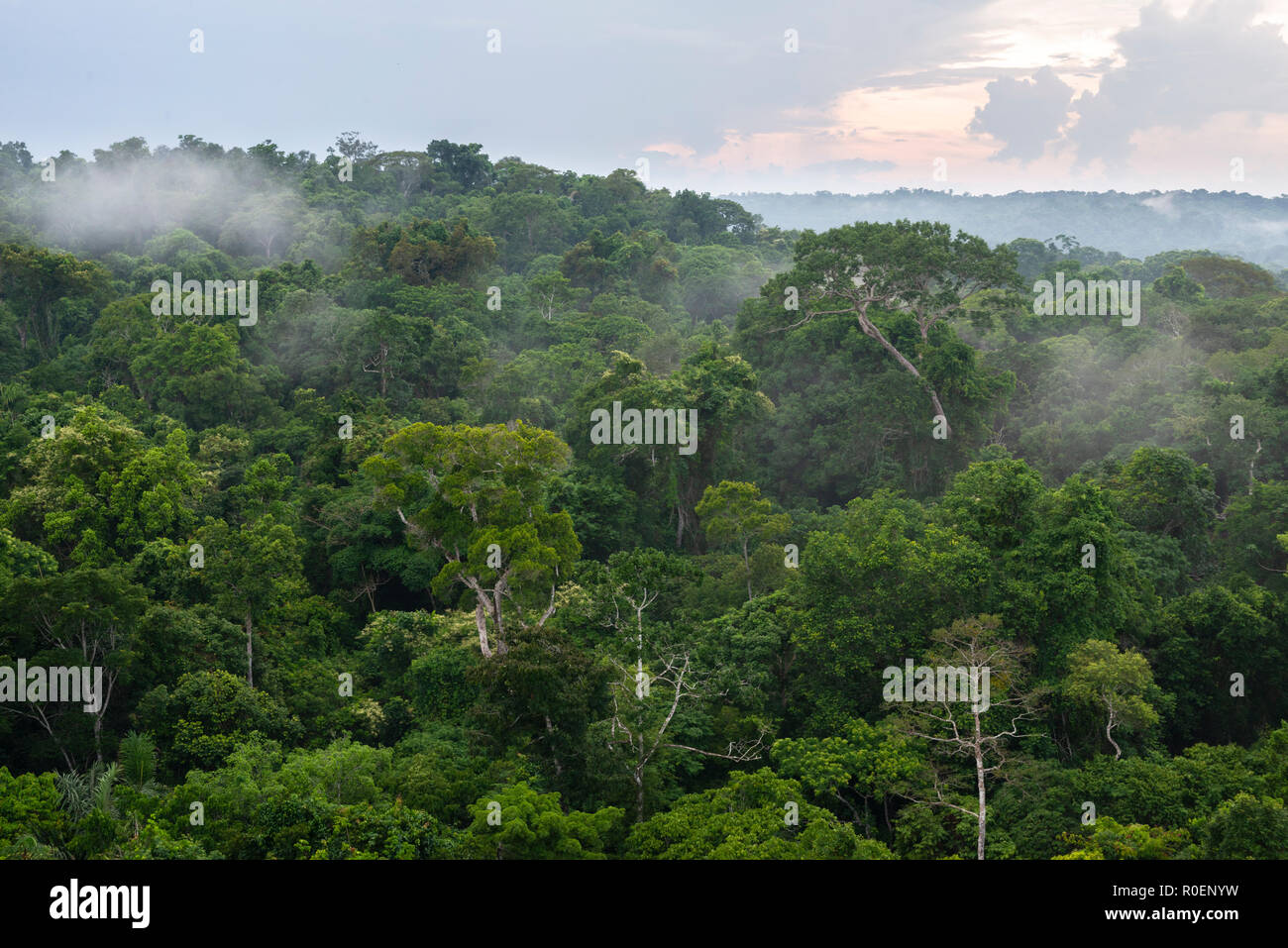 Amazon Rainforest from the area near Cristalino Lodge, Pará State, Brazil Stock Photo