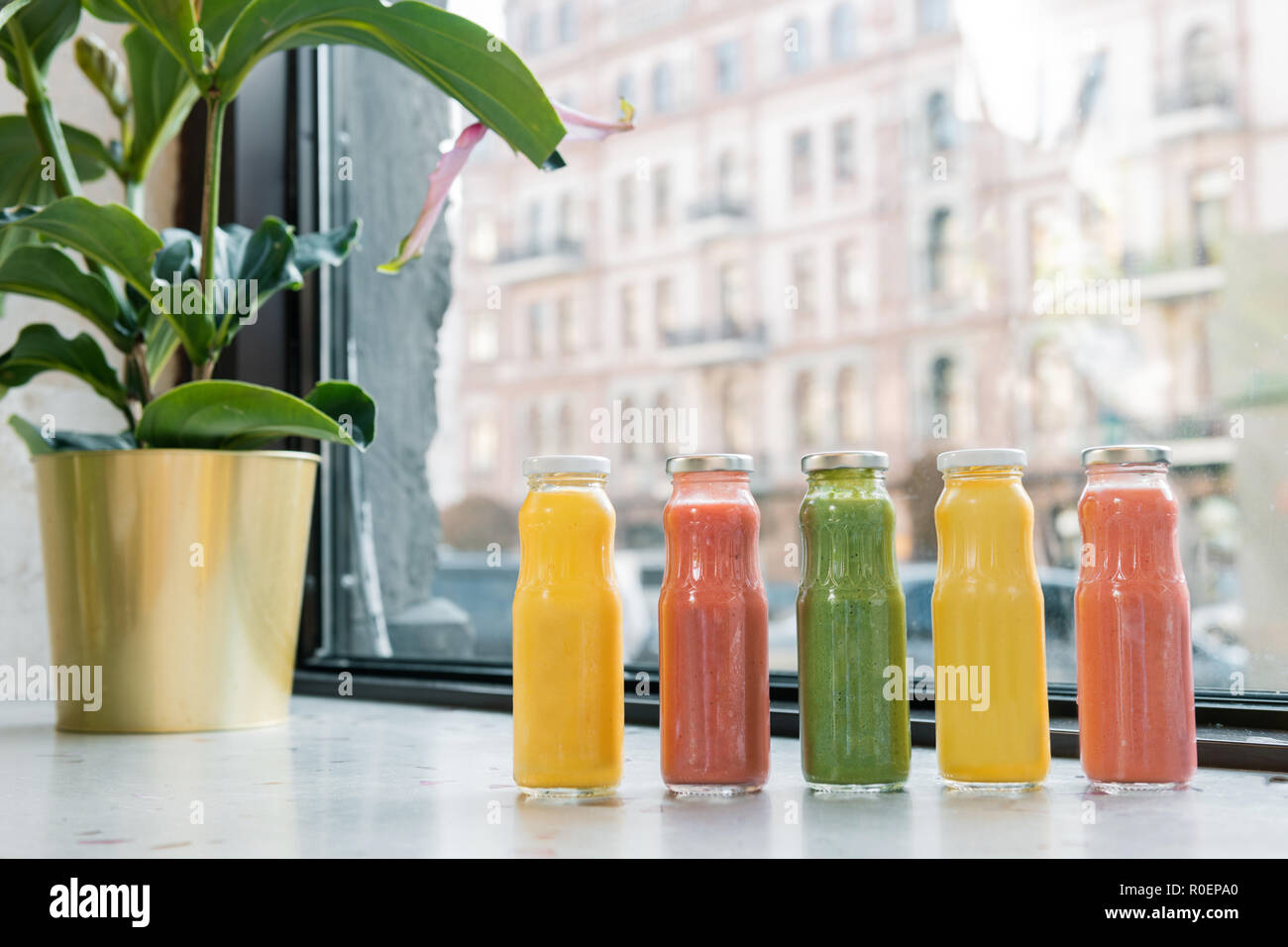Five freshly squeezed fruit juices standing near decorative plant Stock