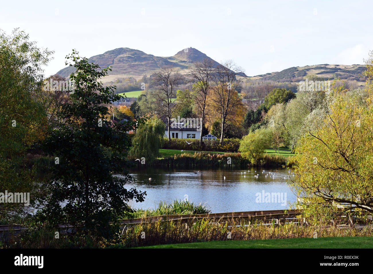 Scotland, UK. 4th Nov 2018.  A view of Arthur's Seat - the extinct volcano in the heart of Edinburgh - from Figgate Park, in late autumn sunshine, © Ken Jack / Alamy Live News Stock Photo