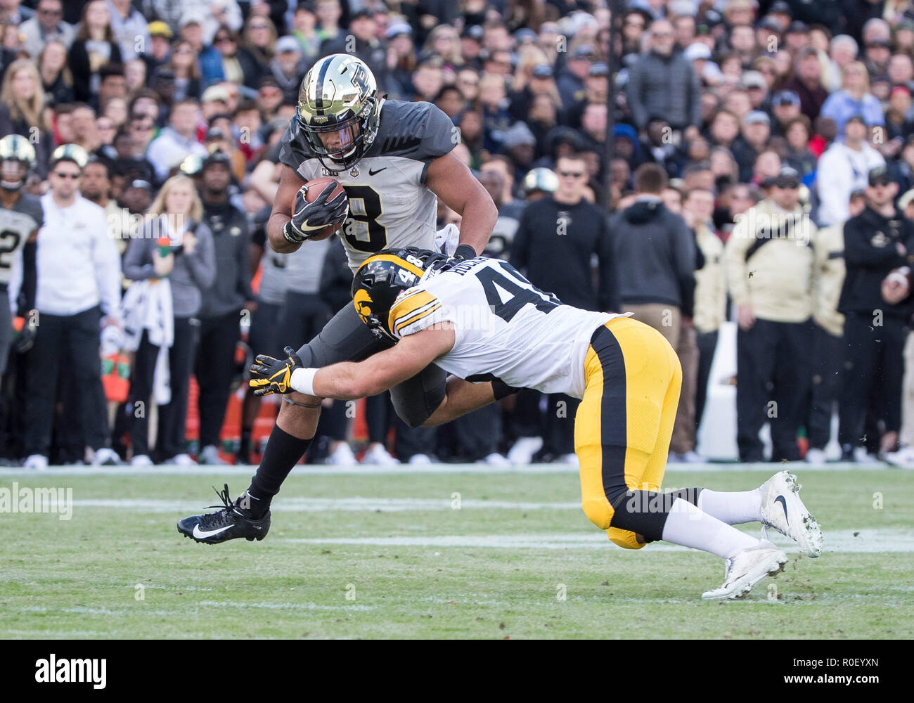 November 03, 2018: Purdue running back Markell Jones (8) runs with the ball  as Iowa linebacker Jack Hockaday (48) attempts to make the tackle during  NCAA football game action between the Iowa