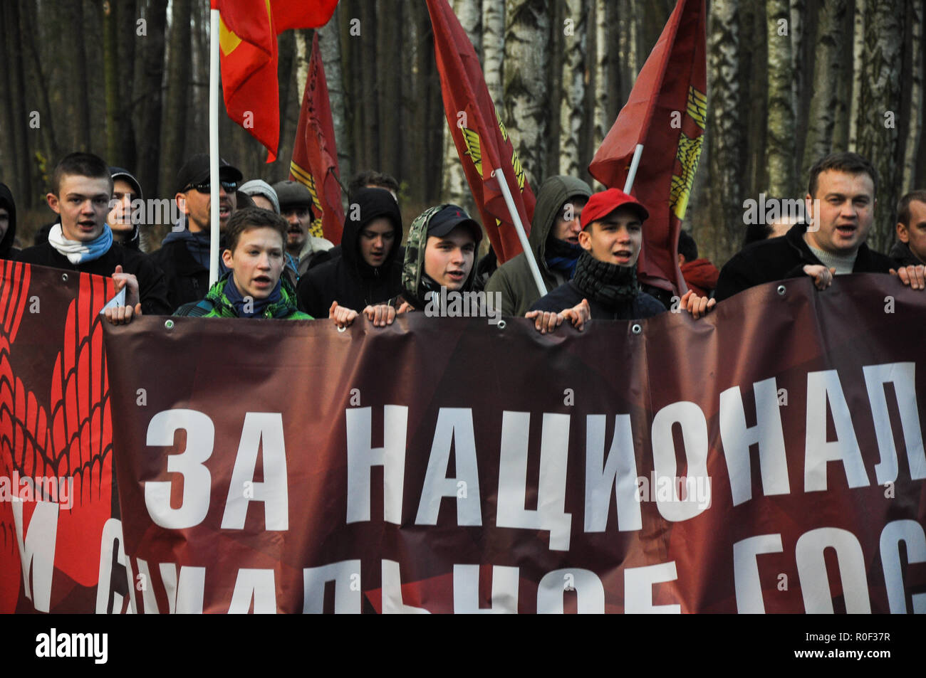 Saint Petersburg Russia 4th November 2018 Activists Are