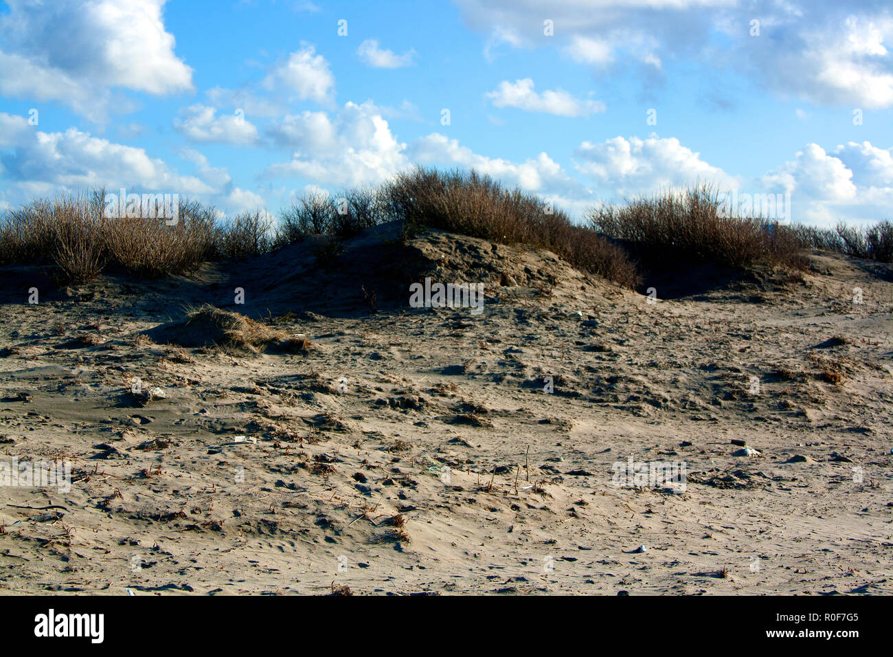 Sand dunes at Hook of Holland, Netherlands Stock Photo Alamy