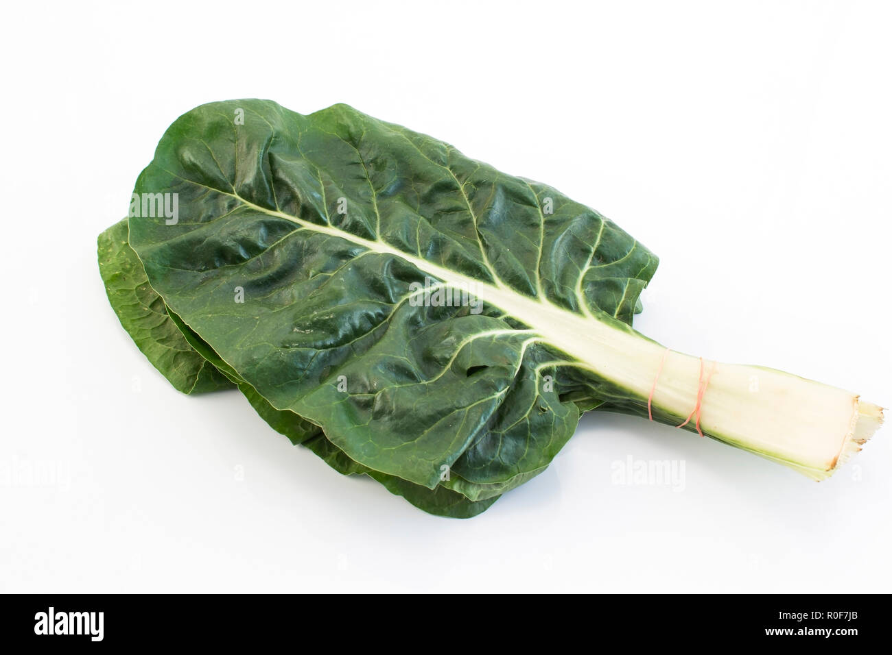 Swiss Chard Isolated on White. Stock Photo